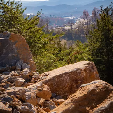 landscape of plants and rocks at SkyLand Ranch