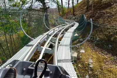 guest riding the Wild Stallion Mountain Coaster