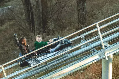 guests riding the Wild Stallion mountain coaster at SkyLand Ranch 
