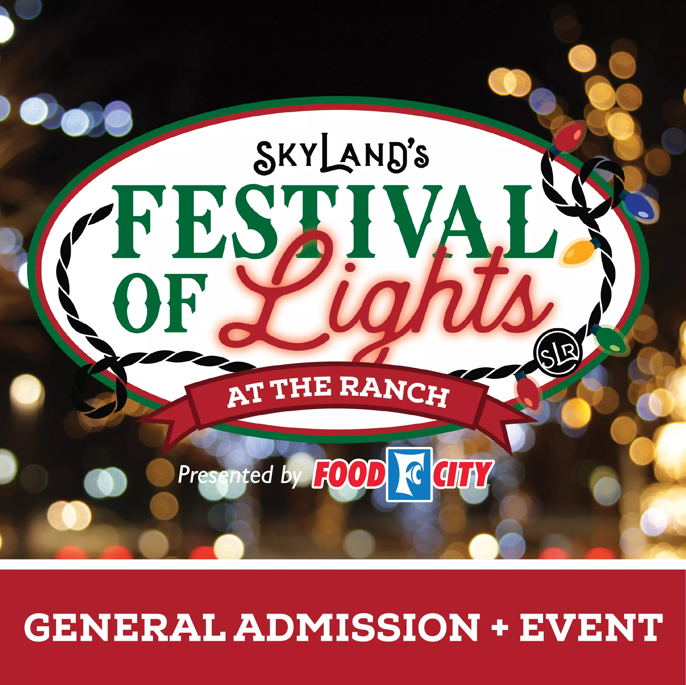 SkyLand Festival of Lights Website Icons Tickets-06
