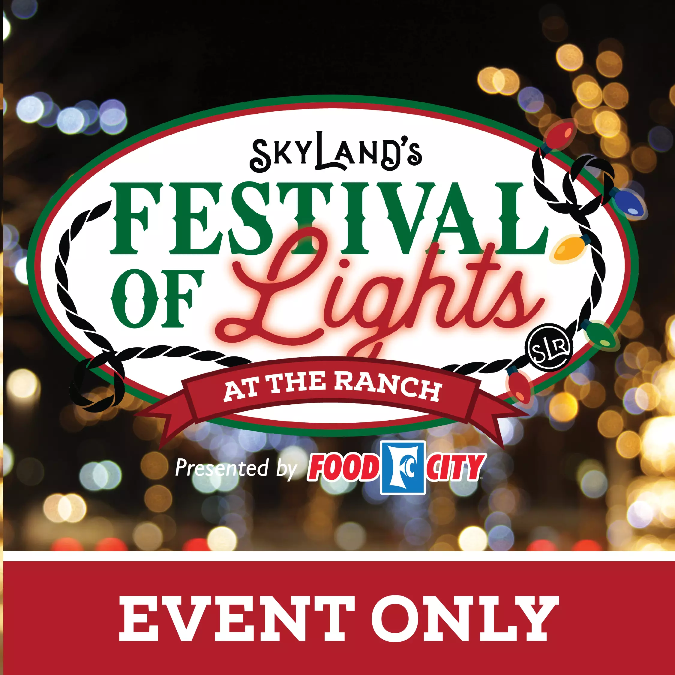 SkyLand Festival of Lights Website Icons Tickets-07 (1)