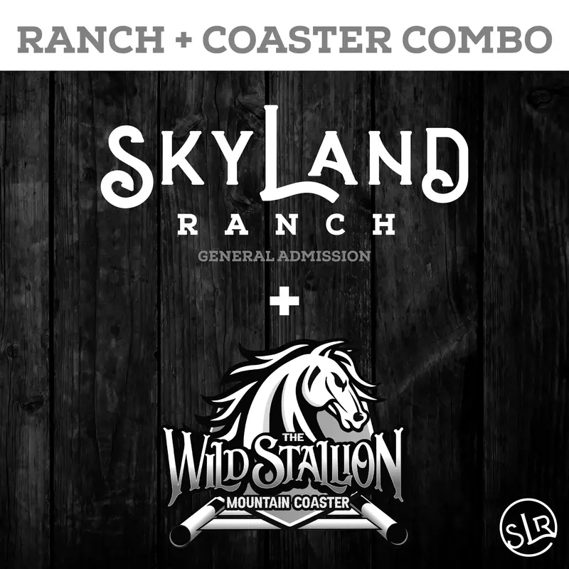 SkyLand Website Icons Tickets-01