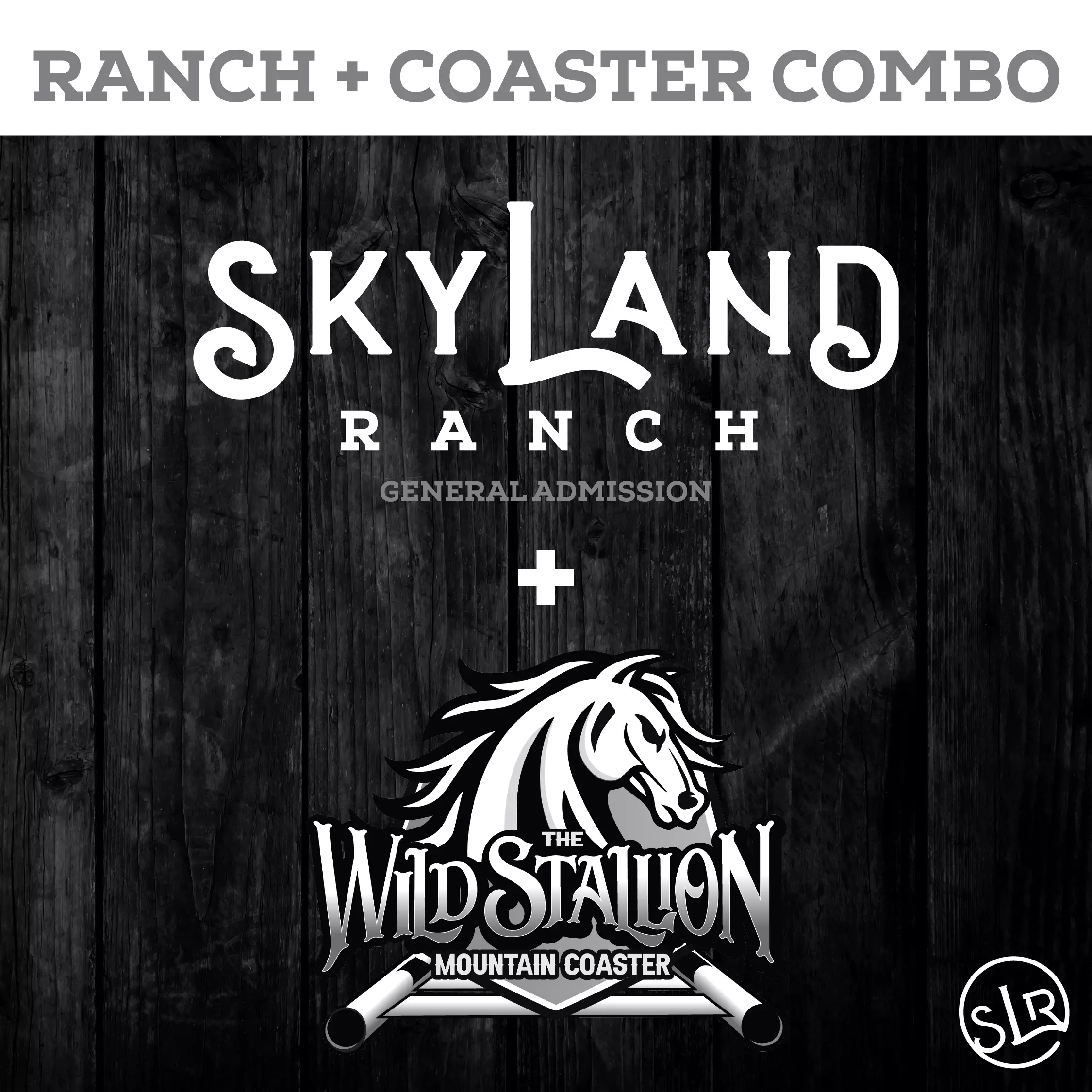SkyLand Website Icons Tickets-01