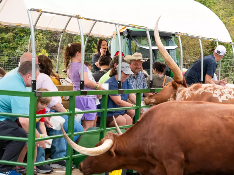 Hayride Slider - 3