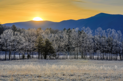 Snow-covered trees and mountain view in Cades Cove at sunrise