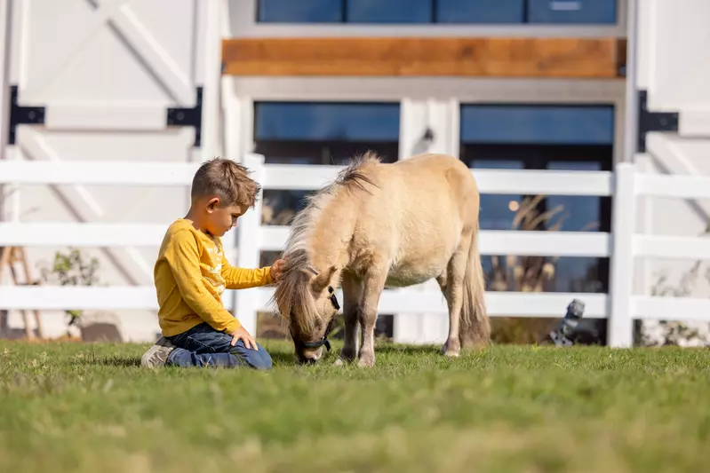 kid with miniature horse