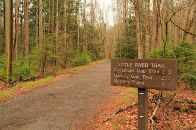Little River Trail marker in the Great Smoky Mountains National Park