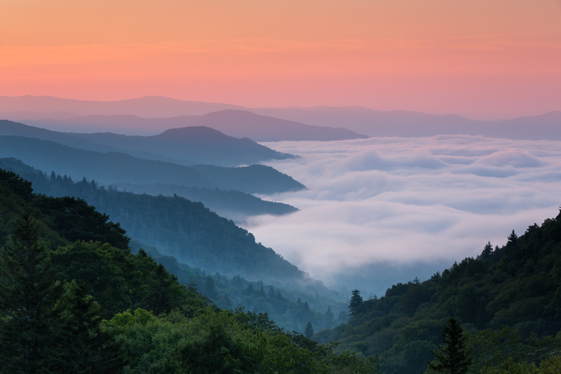 sunrise in the Great Smoky Mountains with fog covering the valley