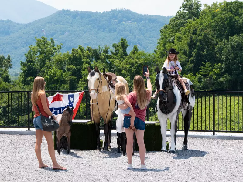 horses at SkyLand Ranch