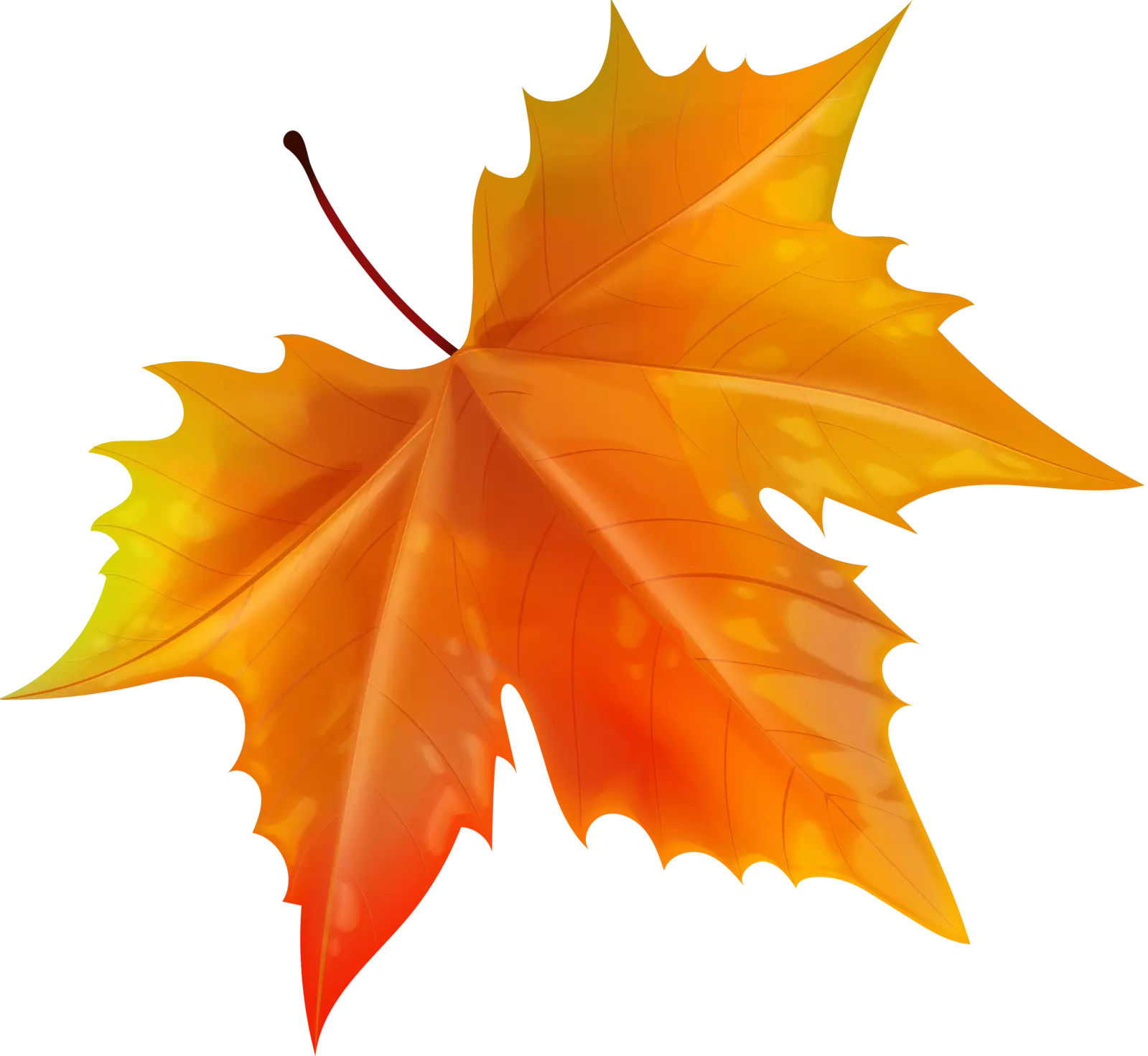 autumn leaf