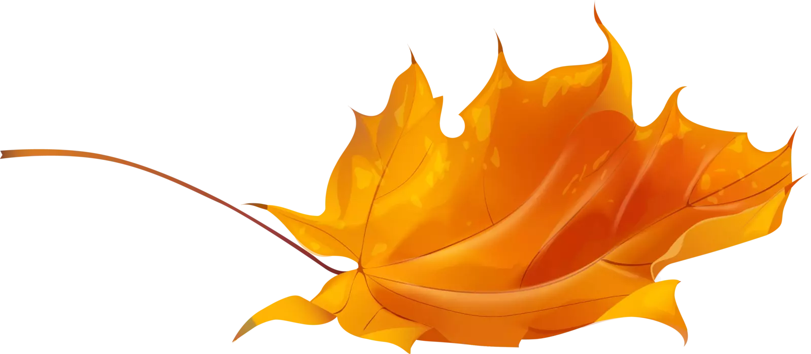 fall leaf