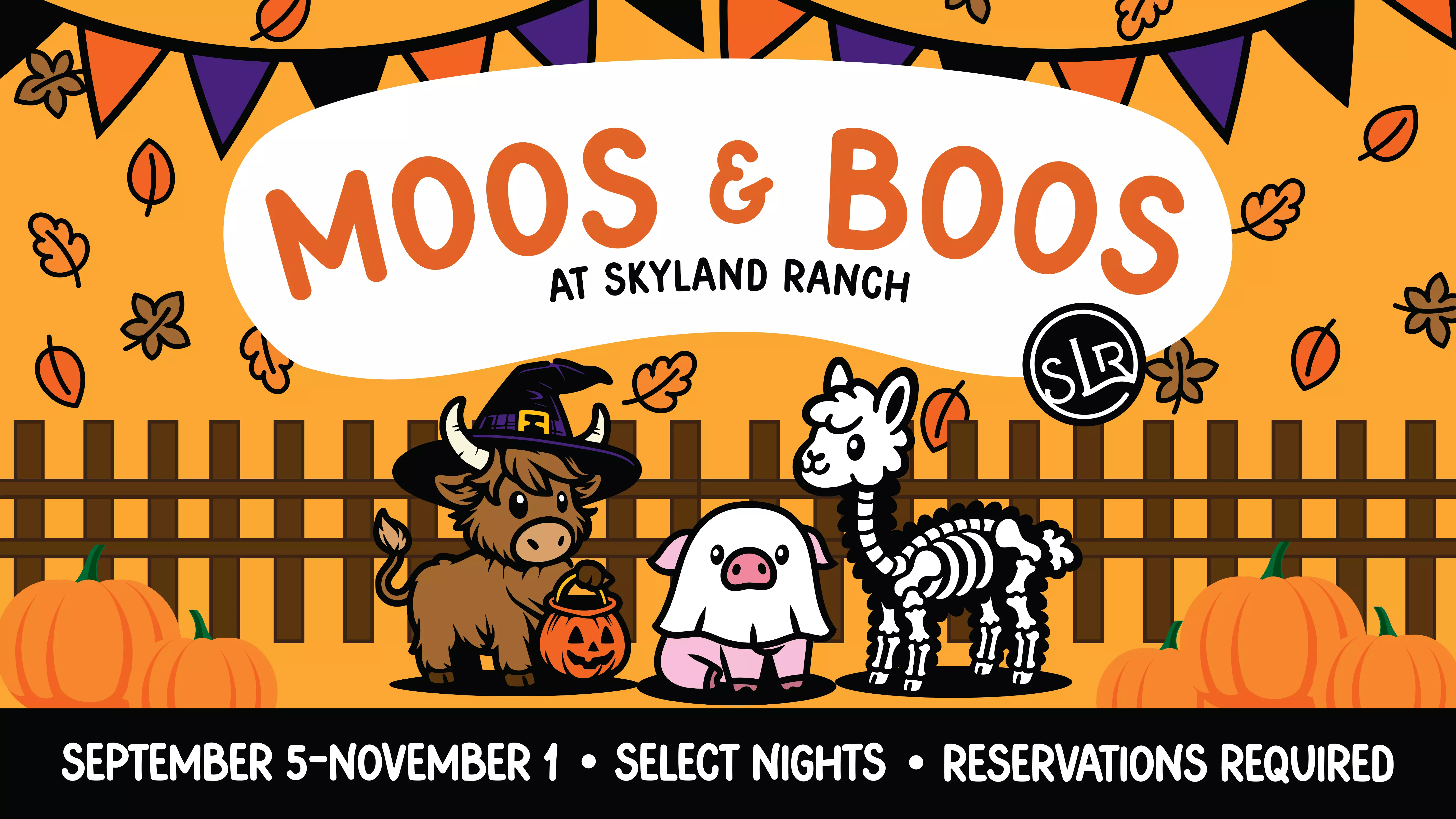 Moos  Boos Web Images-01