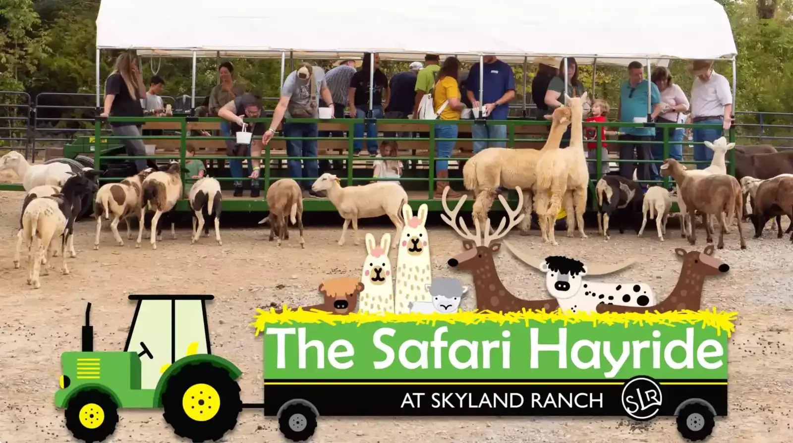 The Safari Hayride at SkyLand Ranch