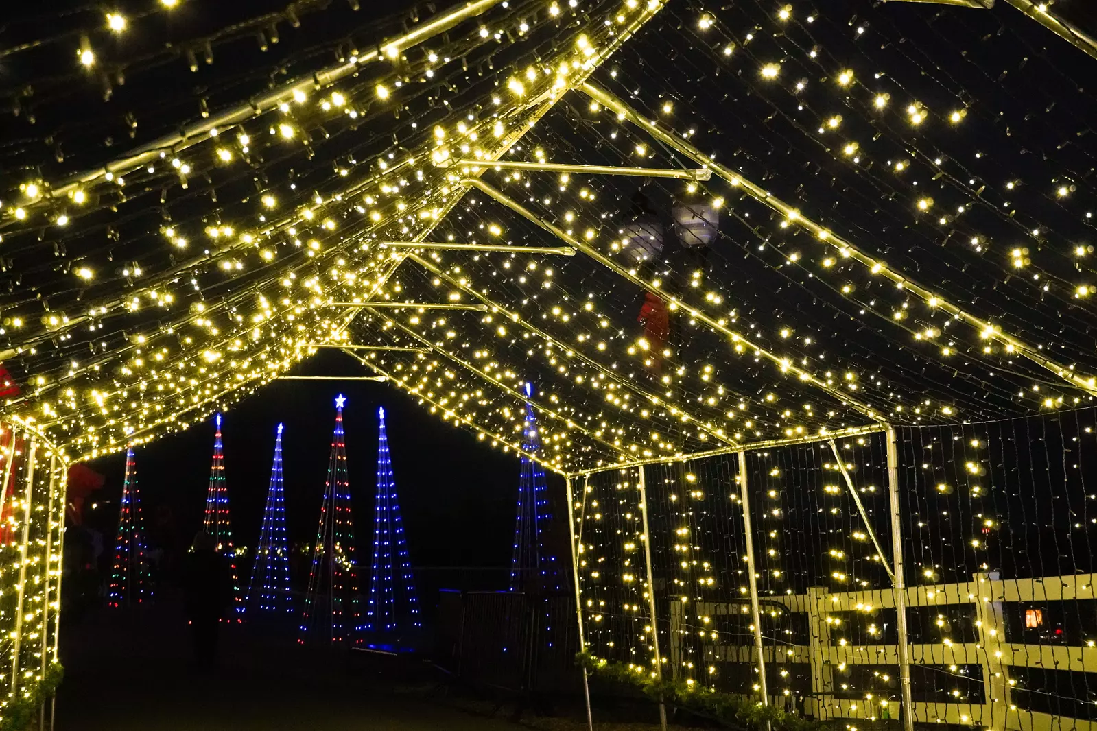 lights at SkyLand