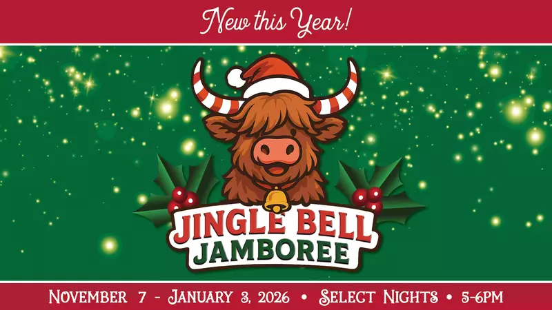 1761755807_27489500 New