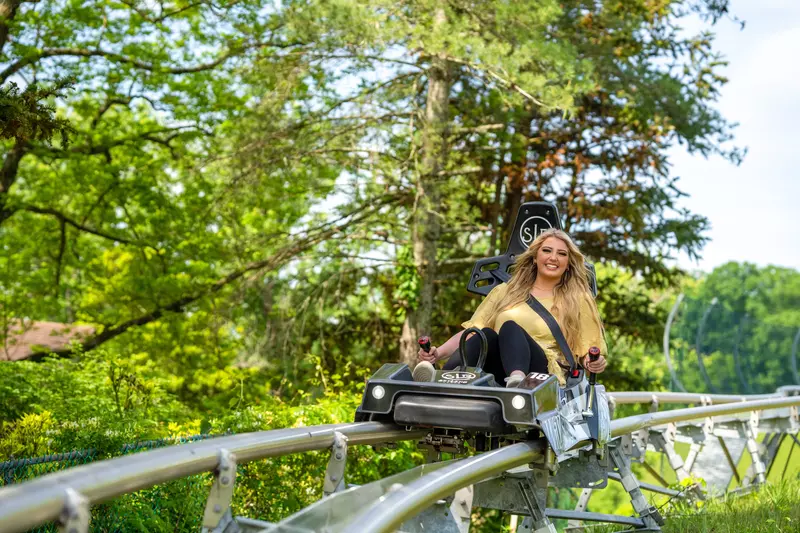About Our Mountain Coaster